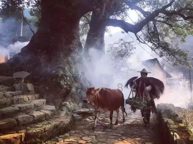 逃离办公室房间