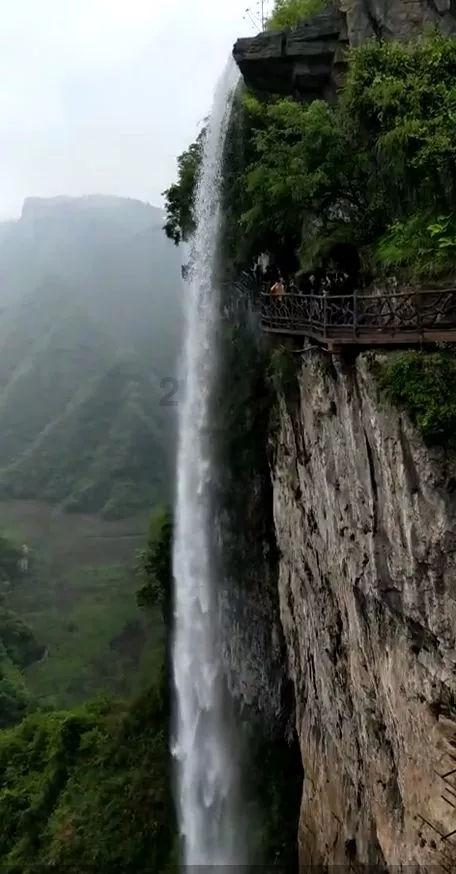 小猫钓鱼游戏龙王版有船