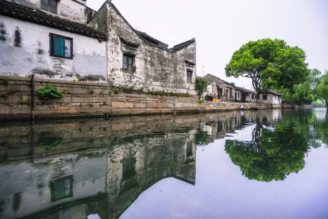 成吉思汗后代姓什么-优质有问必答平台,解答您的疑惑